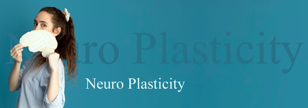 Neuro Plasticity Trainer